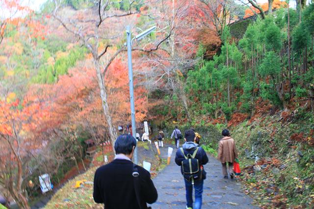 バス停から高雄橋までの道