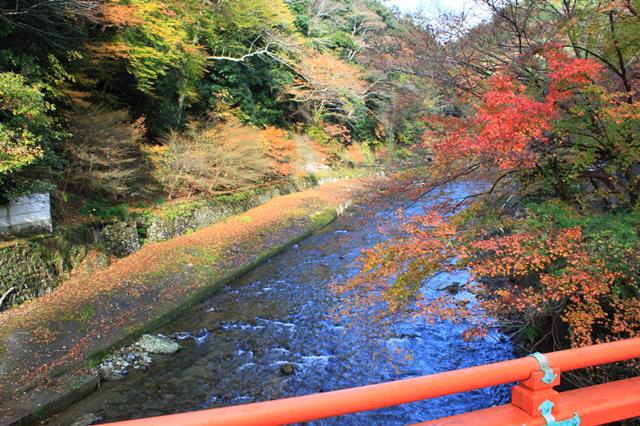 清滝川