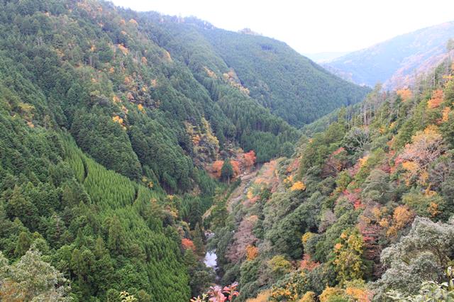 錦雲渓