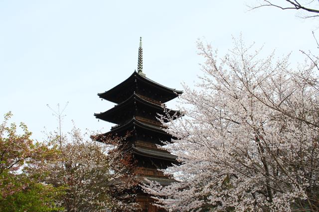 「五重塔」は京都を代表するランドマークタワー