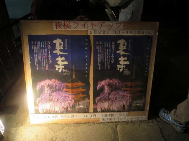 東寺夜桜ライトアップ