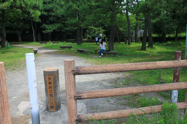 京都府立鴨川公園(葵公園)