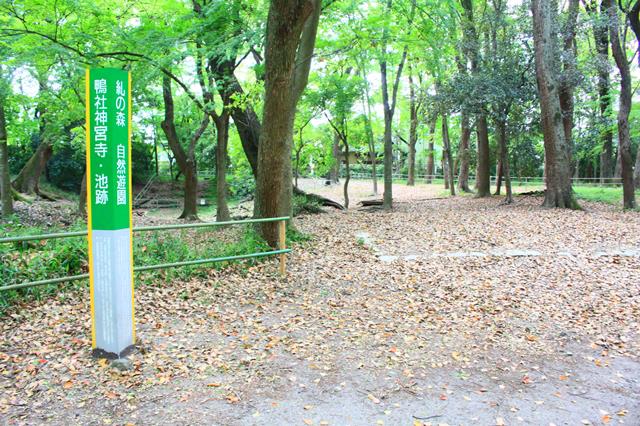 鴨社神宮寺・糺池跡