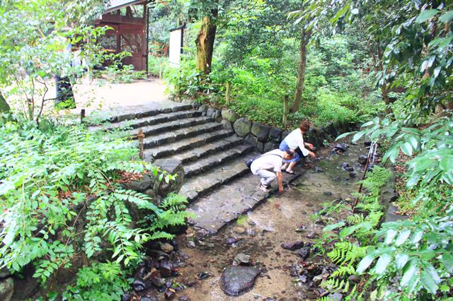 奈良の小川