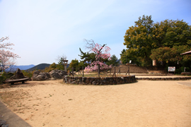 船岡山公園