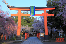 平野神社