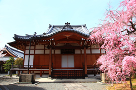 上品蓮台寺(十二坊)