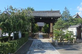 妙顕寺(妙顯寺)