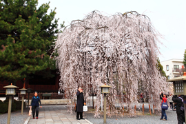 千本釈迦堂(大報恩寺)