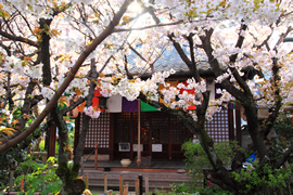 雨宝院(西陣聖天)