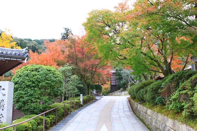 成就院参道