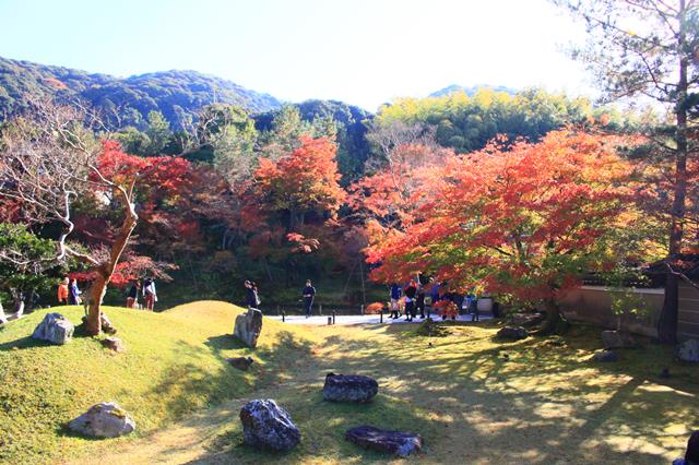 高台寺庭園