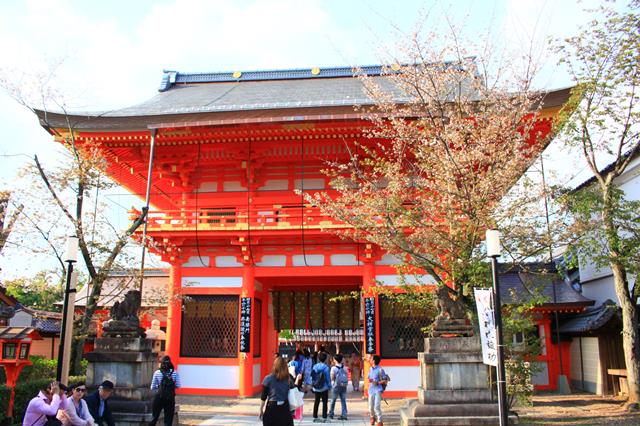 八坂神社 南楼門修復 祇園大茶会17 京都に乾杯