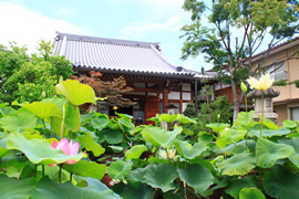 大蓮寺(安産祈願の寺)