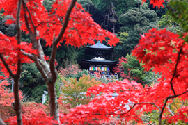 永観堂(禅林寺)