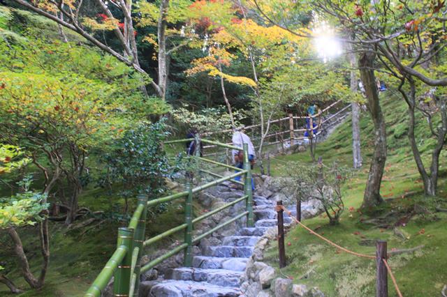 展望所への石段