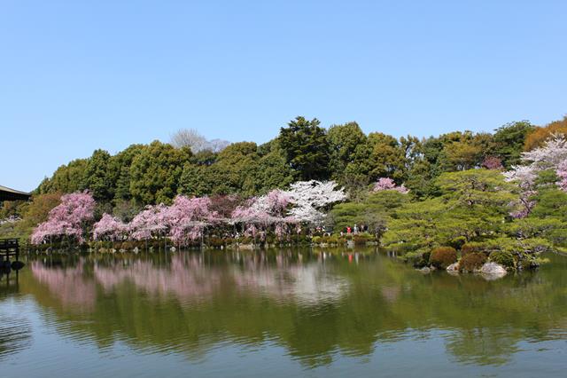 栖鳳池