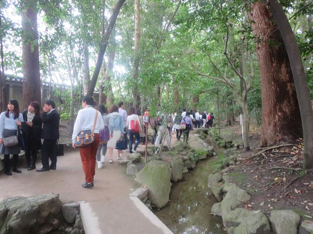 中神苑への林道