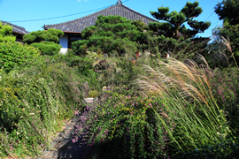 常林寺(萩の寺)