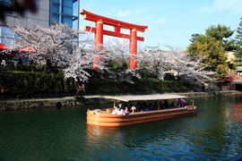 岡崎疎水(十石舟)