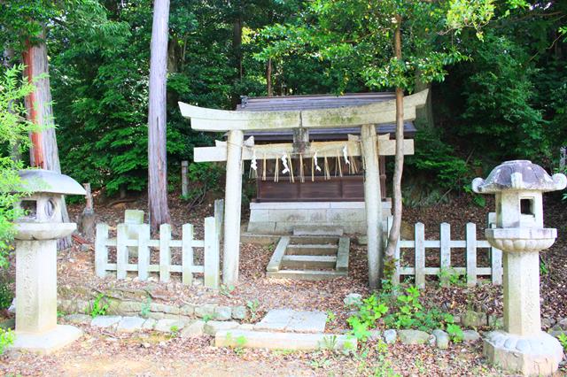 三社社