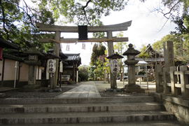 新熊野神社