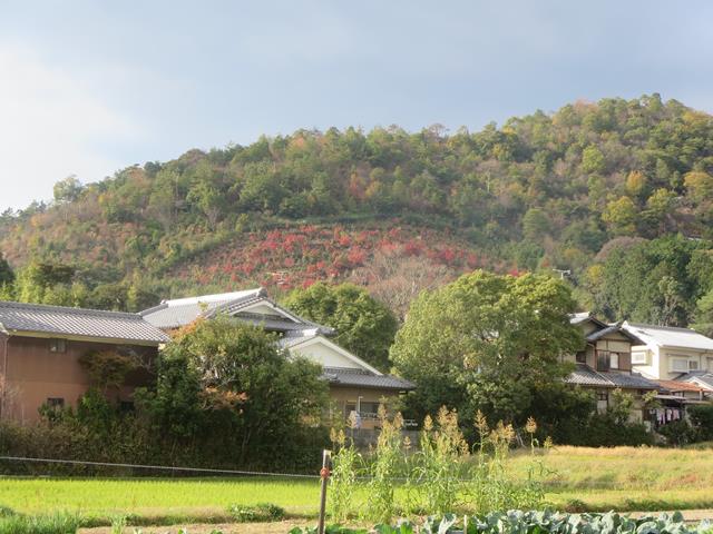 嵯峨天皇山上陵