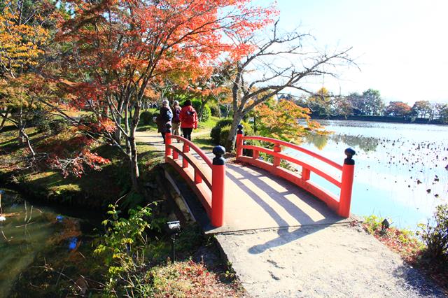 橋