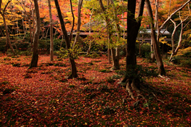 祇王寺