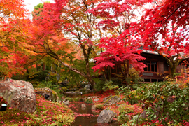 天龍寺 宝厳院