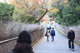 嵐山公園亀山地区(亀山公園)