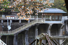 嵯峨野観光鉄道トロッコ保津峡駅