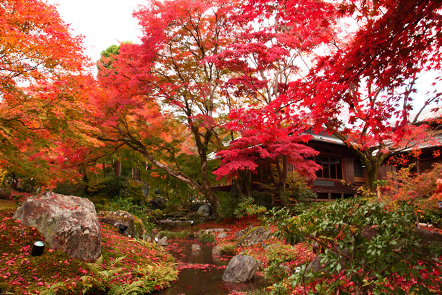 宝厳院