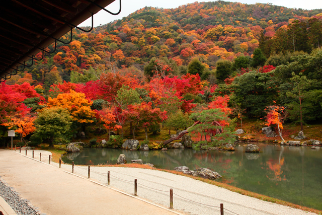 曹源池庭園