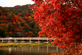 渡月橋