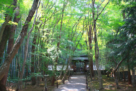 地蔵院(竹の寺)