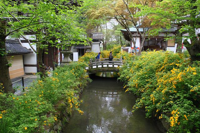 一ノ井川