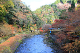 清滝川(錦雲渓)