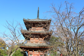 宝積寺(宝寺)