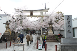 向日神社