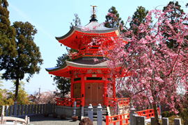 正法寺(石の寺)