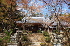 勝持寺(花の寺)