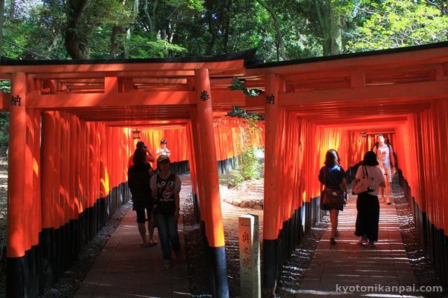 代名詞の「千本鳥居」をはじめ境内のいたる所に朱色の鳥居