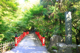 今熊野観音寺(観音寺)