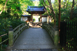 泉涌寺 来迎院