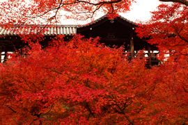 東福寺