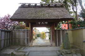 瑞光寺(元政庵)