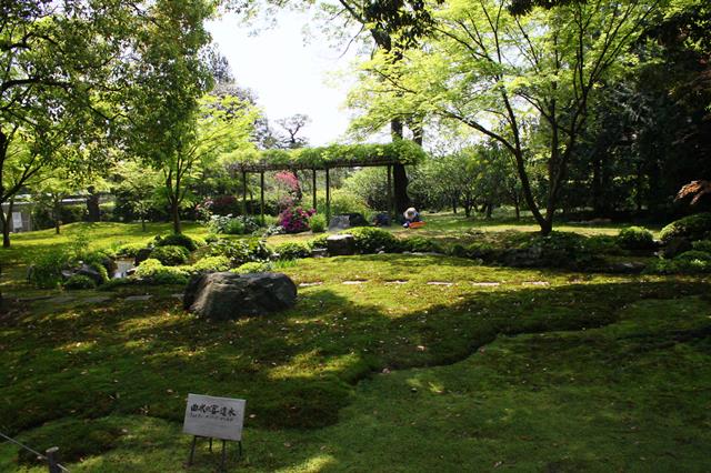 曲水の宴・遣水