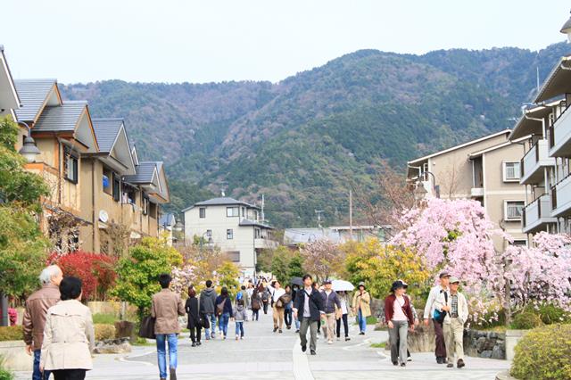 遊歩道