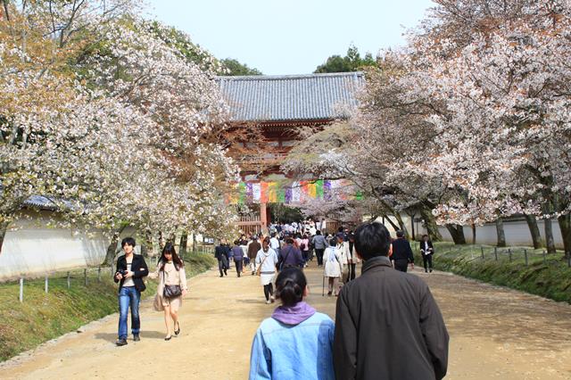 桜馬場